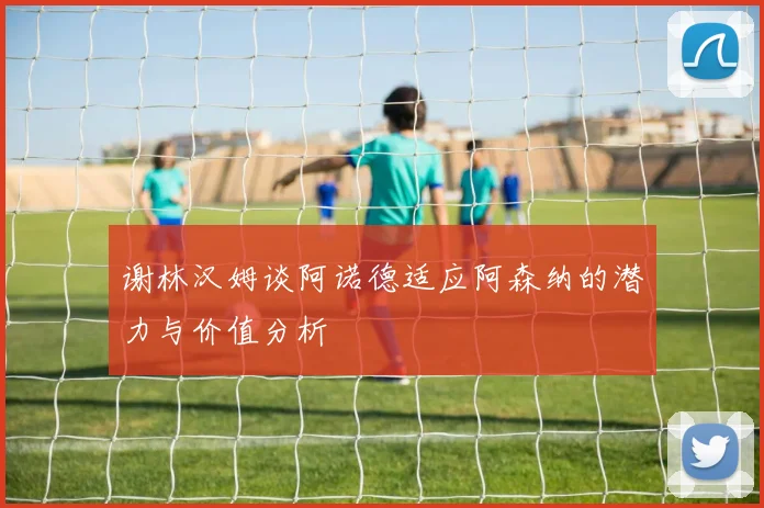 谢林汉姆谈阿诺德适应阿森纳的潜力与价值分析